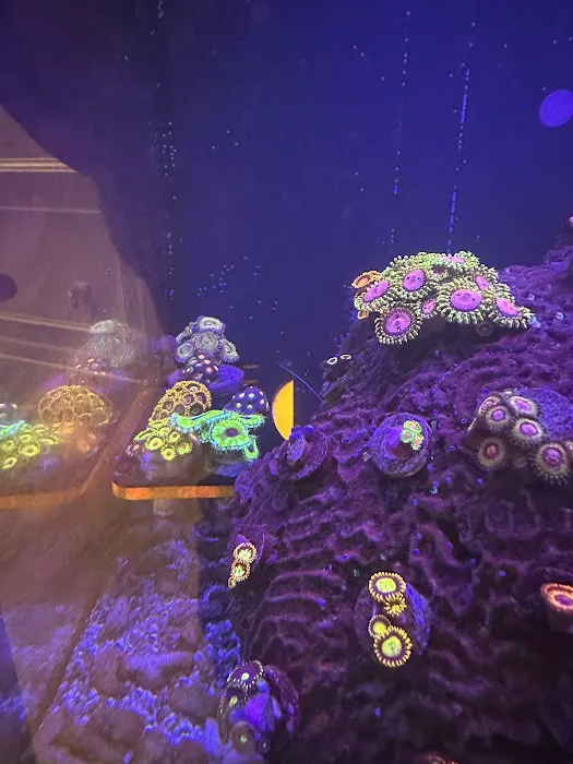 The Reef Room LLC Picture 4