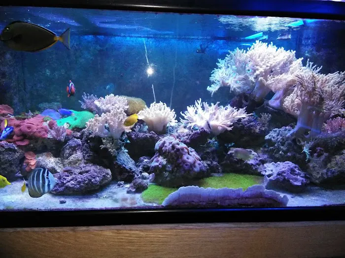 The Reef Room LLC Picture 2