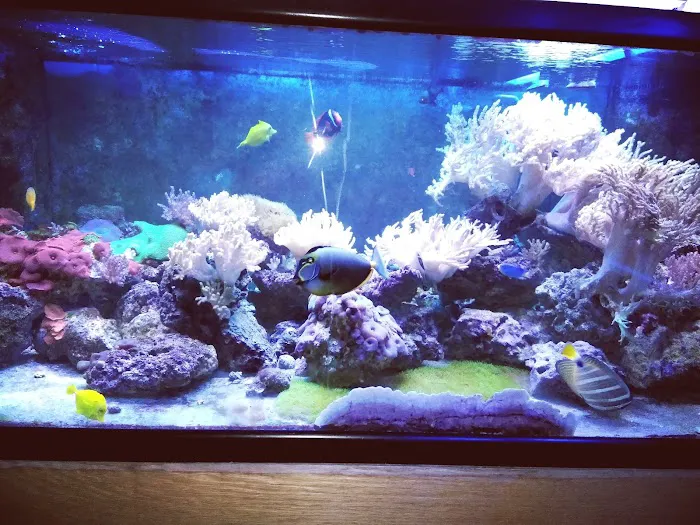 The Reef Room LLC Picture 7
