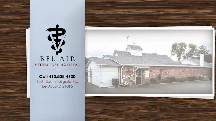 Bel Air Veterinary Hospital Picture 2