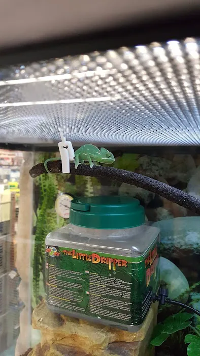Petco Picture 3