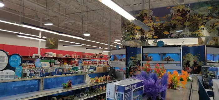 Petco Picture 1