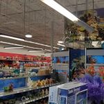 Petco