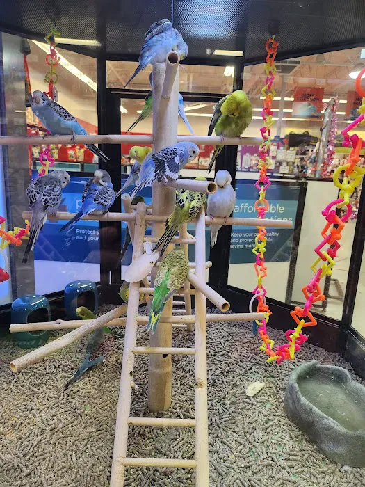 Petco Picture 4