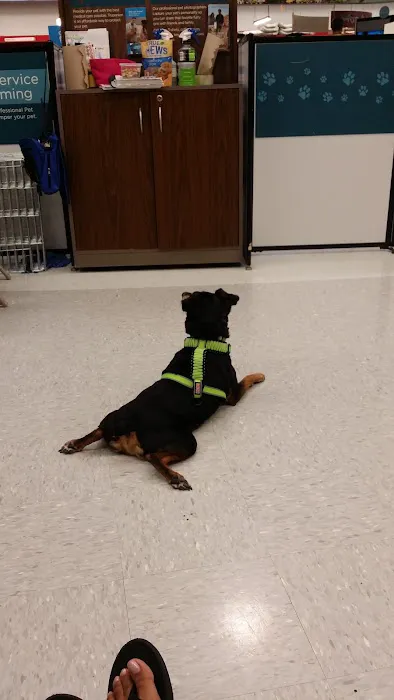 Petco Picture 5