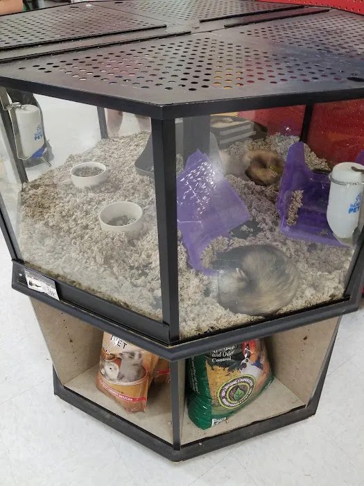 Petco Picture 7