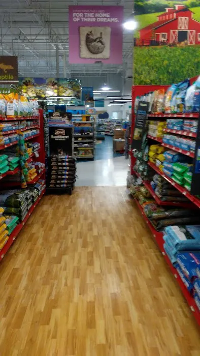 Petco Picture 8