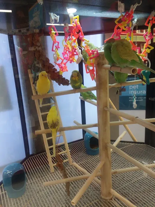 Petco Picture 9