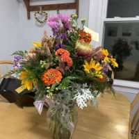 Stewartstown Vet Services ico