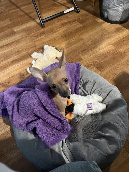 Banfield Pet Hospital Picture 6