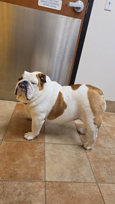 Banfield Pet Hospital Picture 7