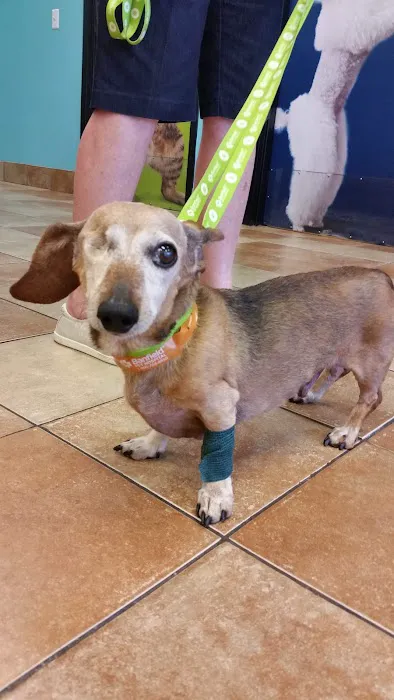 Banfield Pet Hospital Picture 9
