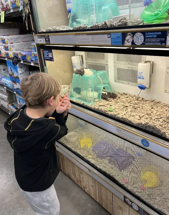 Petco Picture 2