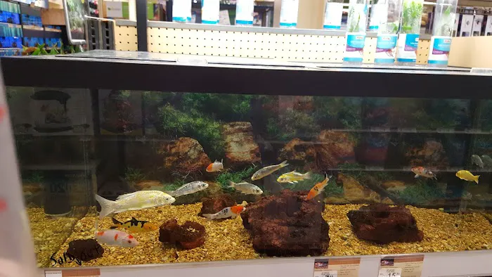 Petco Picture 5