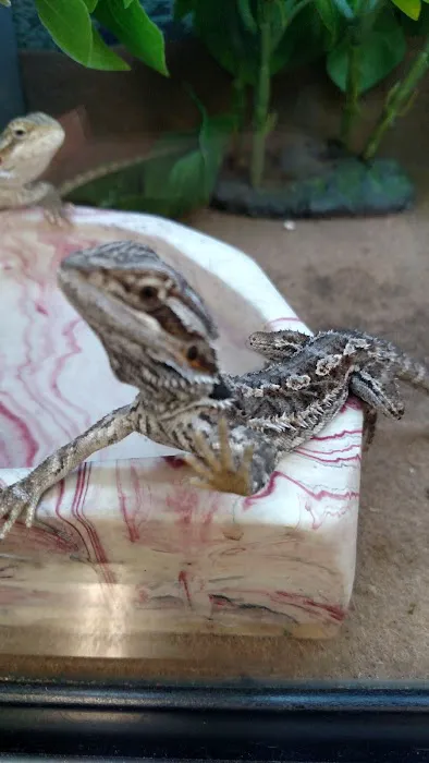 Petco Picture 4