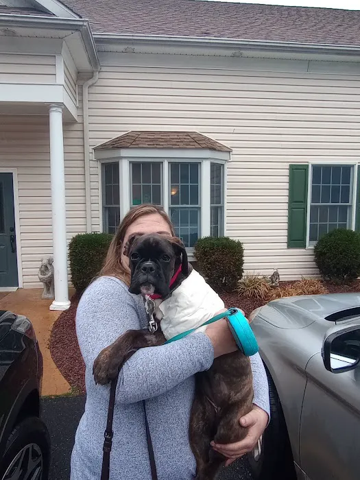 Pleasantville Animal Hospital of Fallston Picture 4