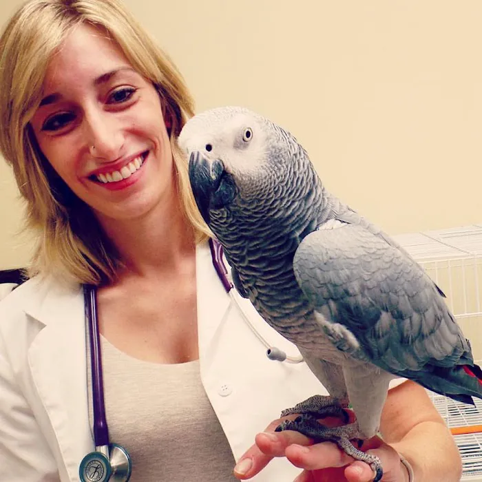 Pleasantville Animal Hospital of Fallston Picture 7