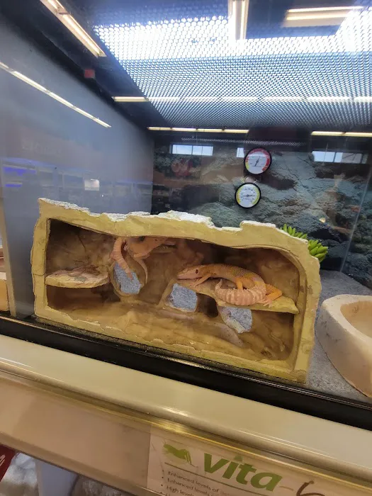 Petco Picture 1
