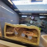Petco