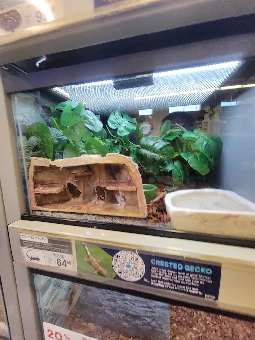 Petco Picture 6
