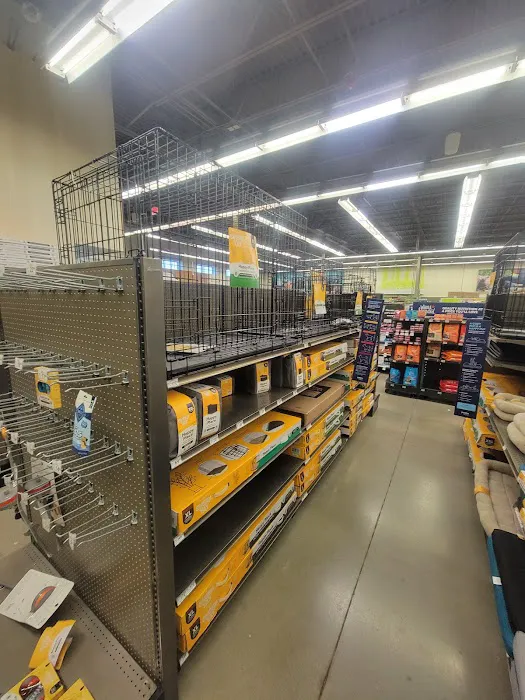 Petco Picture 3