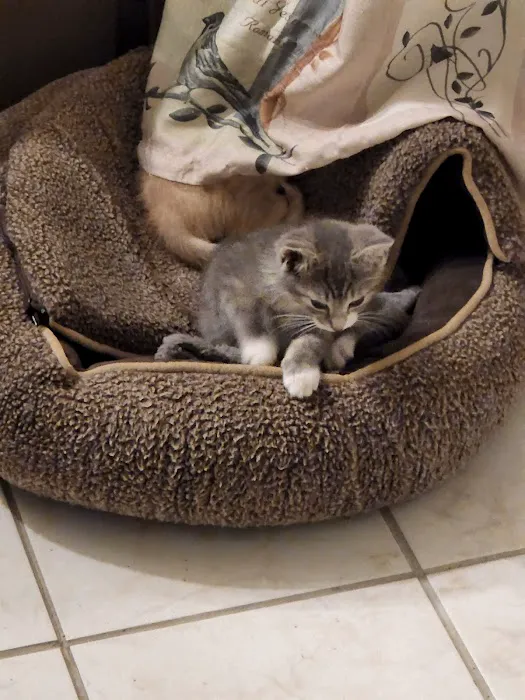 Petco Picture 4