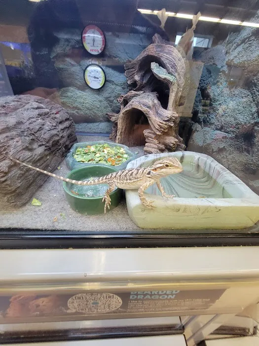 Petco Picture 8