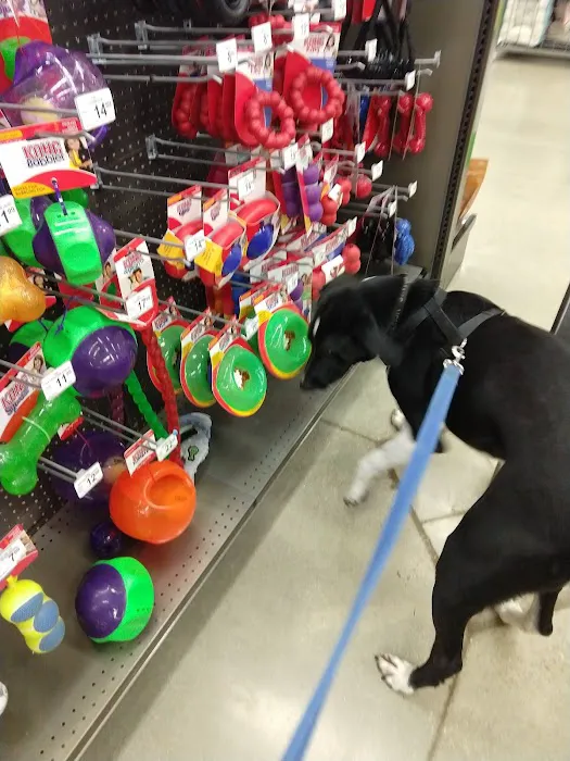 Petco Picture 7