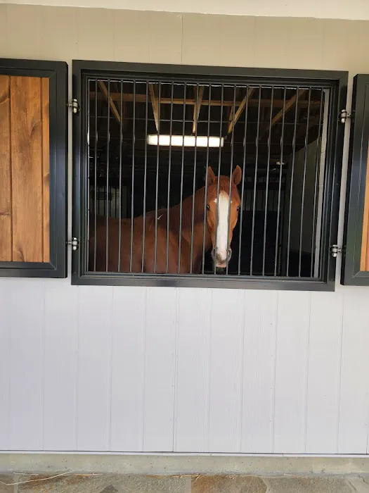 Foxhall Equine Picture 1