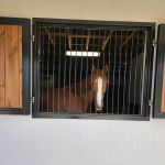 Foxhall Equine