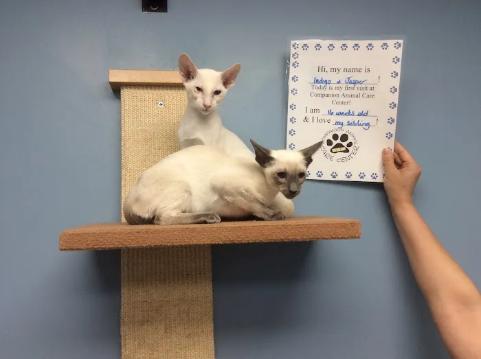 Companion Animal Care Center Picture 5