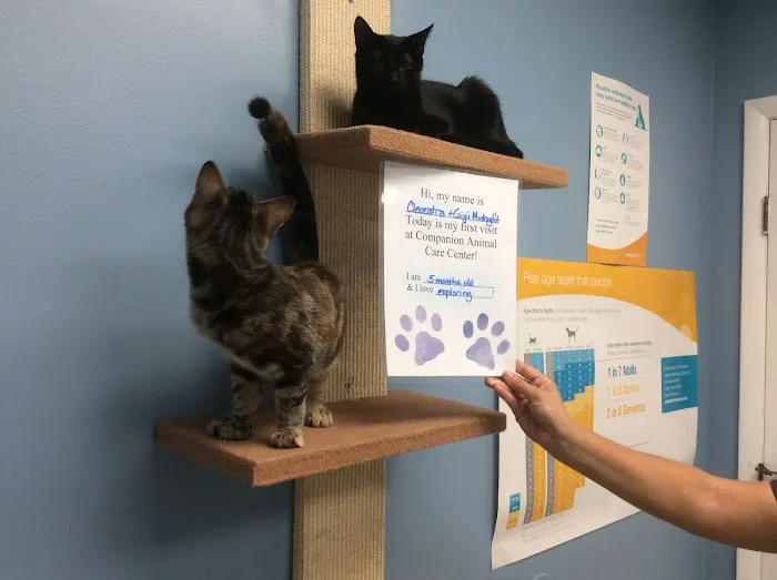 Companion Animal Care Center Picture 6