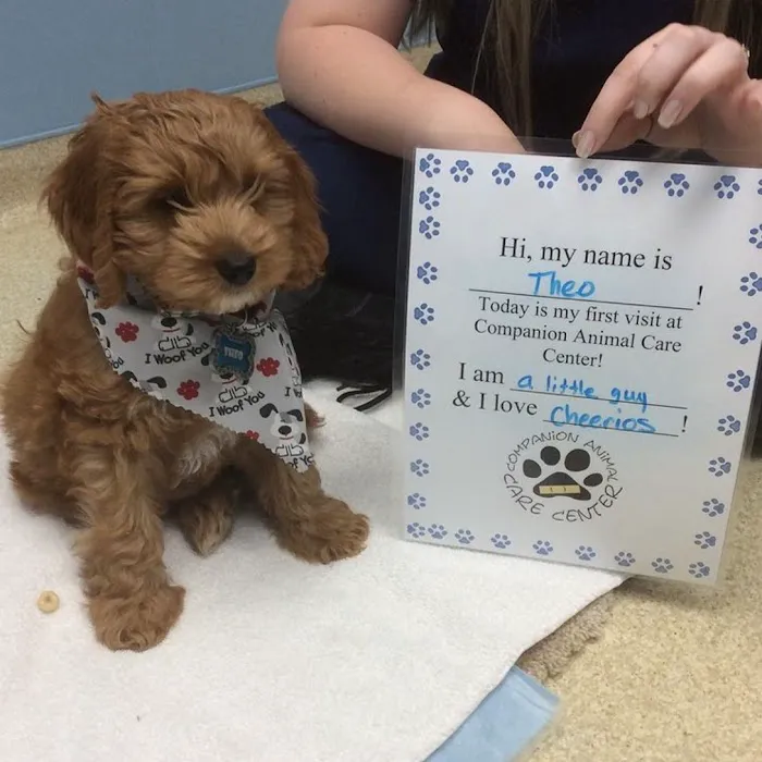 Companion Animal Care Center Picture 9