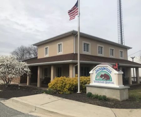 Jacksonville Veterinary Hospital