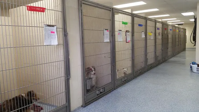 Jacksonville Veterinary Hospital Picture 6
