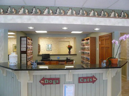 Jacksonville Veterinary Hospital Picture 7