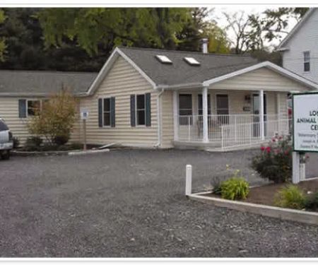 Long Green Animal Dermatology Center, P.C. / Animal Dermatology Clinic