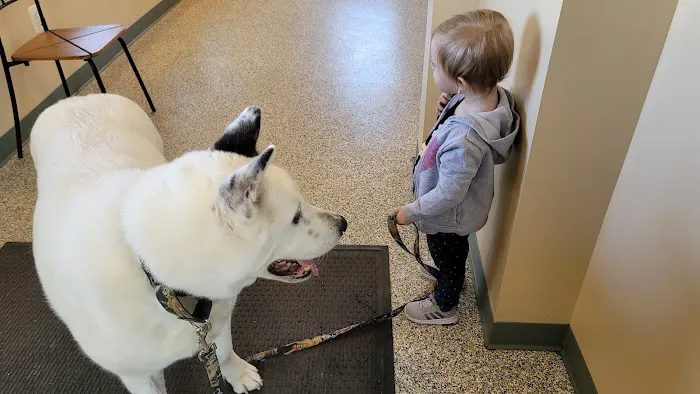 Long Green Animal Dermatology Center, P.C. / Animal Dermatology Clinic Picture 3