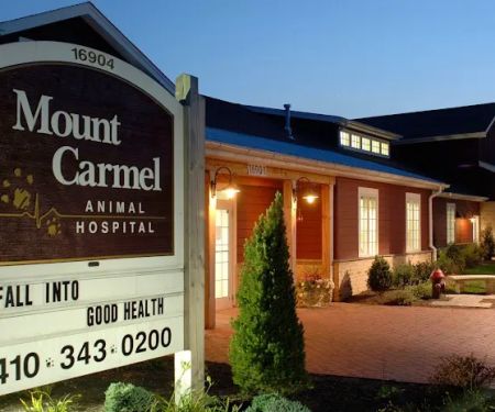 Mt. Carmel Animal Hospital