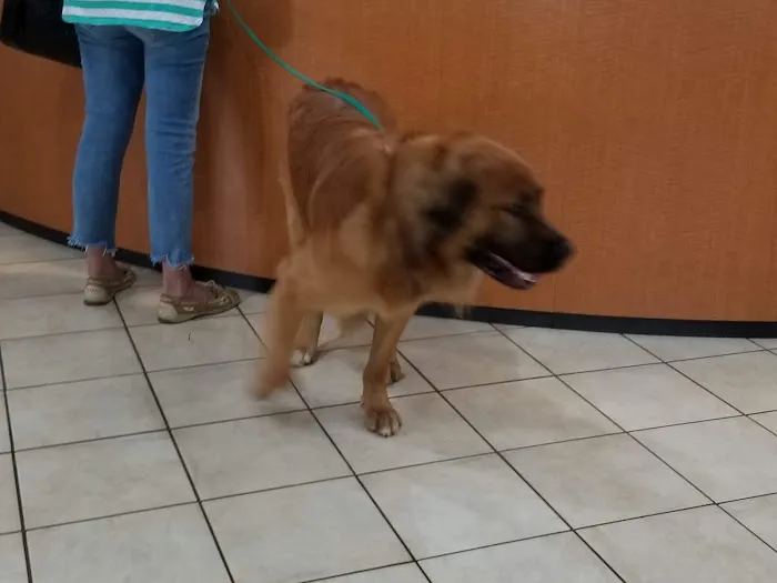 Mt. Carmel Animal Hospital Picture 6