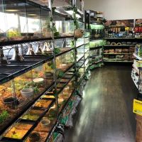 AE Herps and Exotics ico