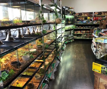 AE Herps and Exotics