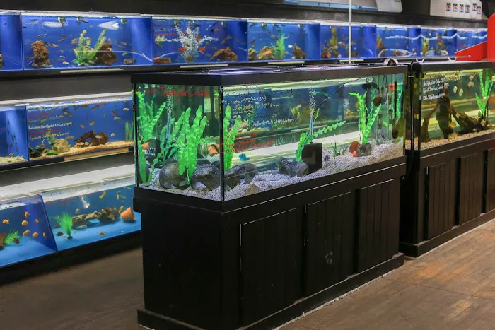 The Ocean Floor Picture 1