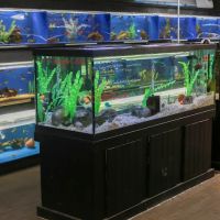 The Ocean Floor ico