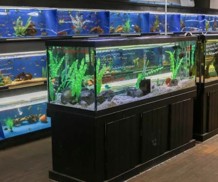 The Ocean Floor
