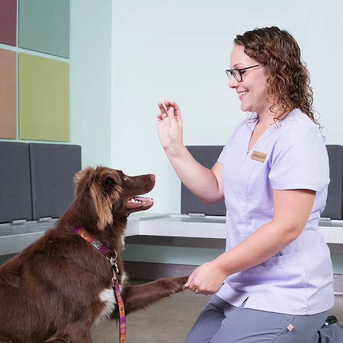 West Lancaster Animal Hospital Picture 2