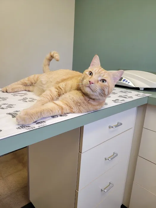 West Lancaster Animal Hospital Picture 9