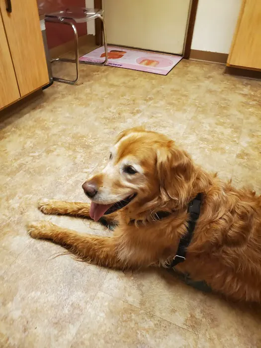 Pine Creek Animal Hospital in Lancaster Picture 5