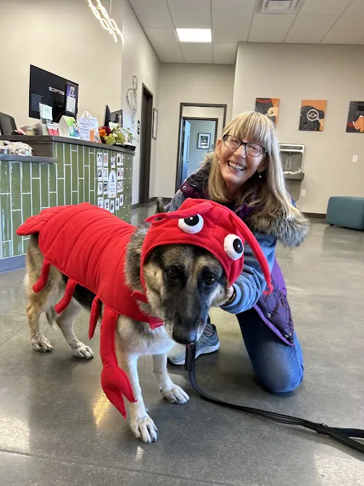 Pine Creek Animal Hospital in Lancaster Picture 8