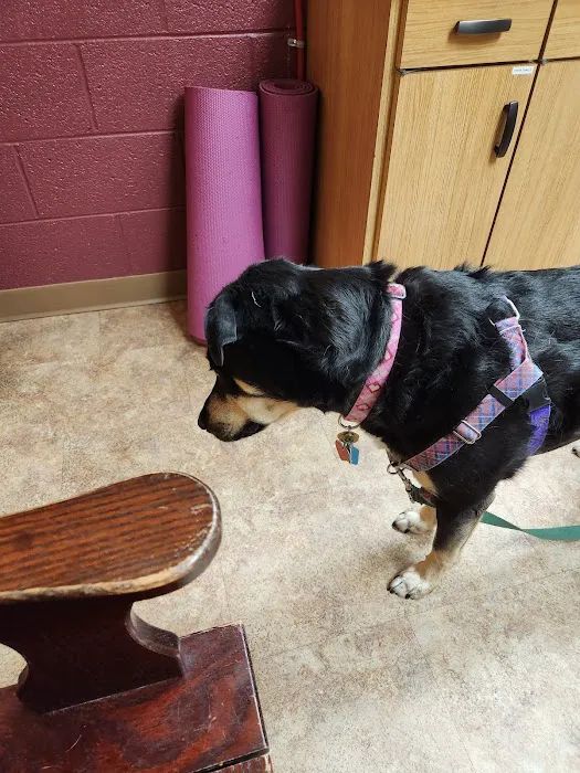 Pine Creek Animal Hospital in Lancaster Picture 10
